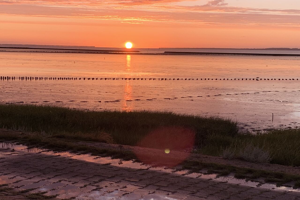 "Das Glück kommt auf leisen Sohlen"