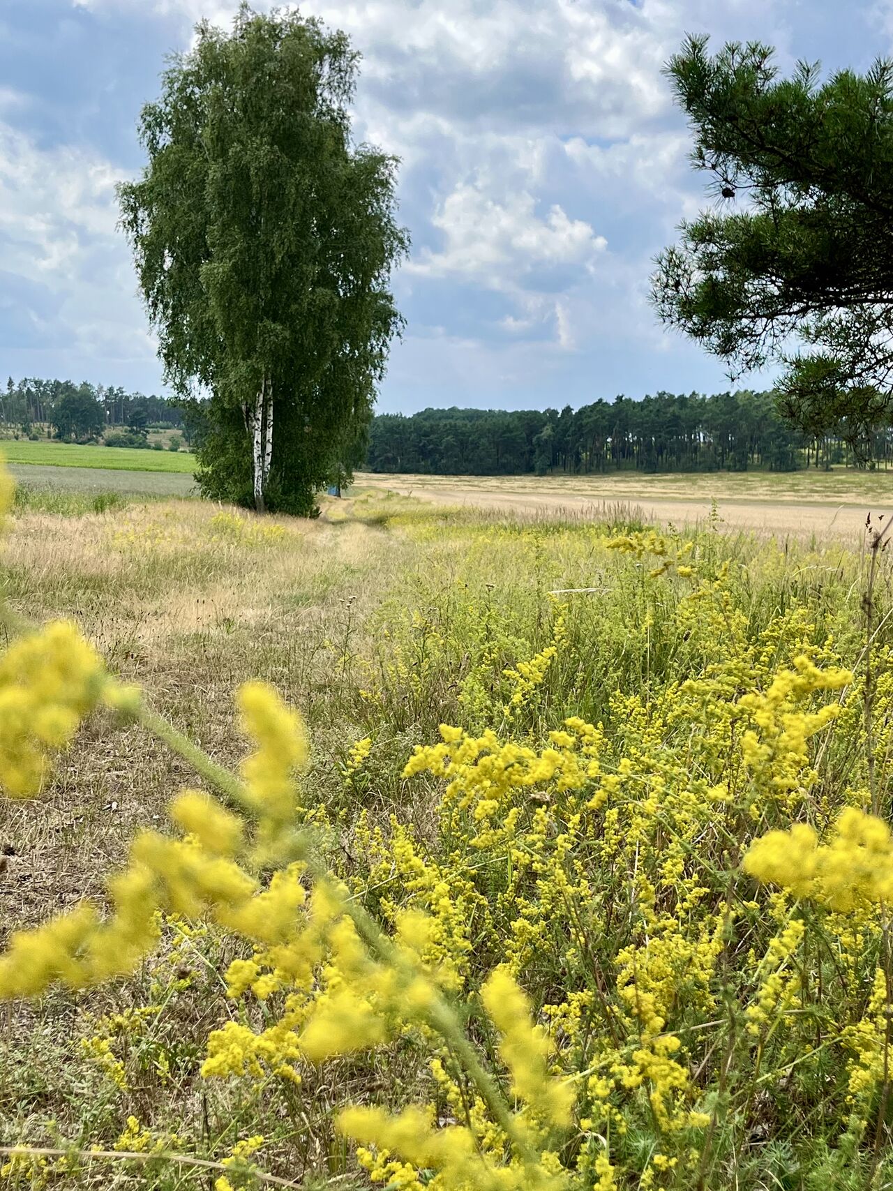 Ausflüge in unserer Nähe