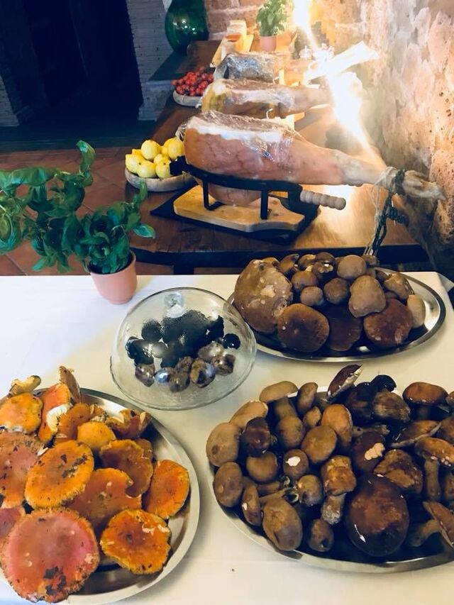 Esposizione prodotti funghi ovuli e porcini e tartufi freschi