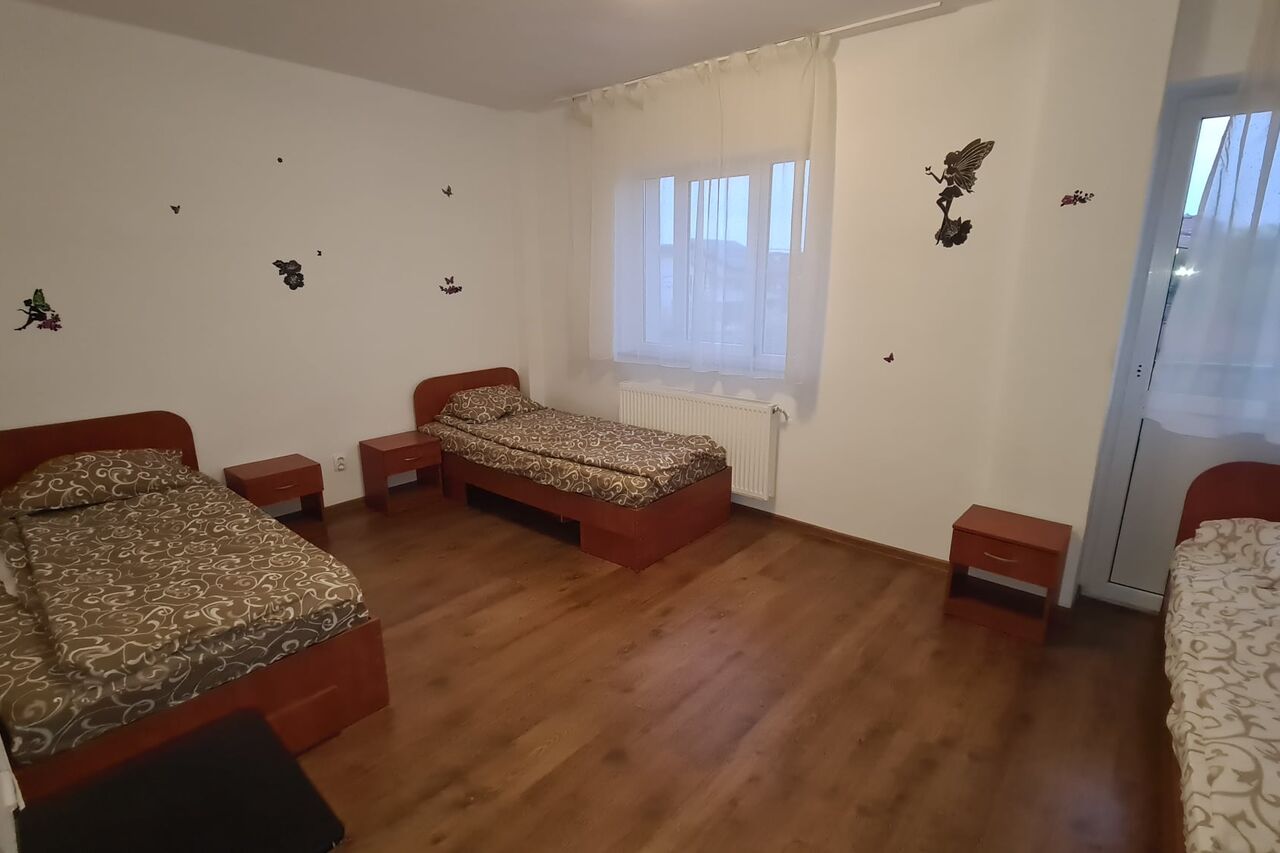 Organizare si structura