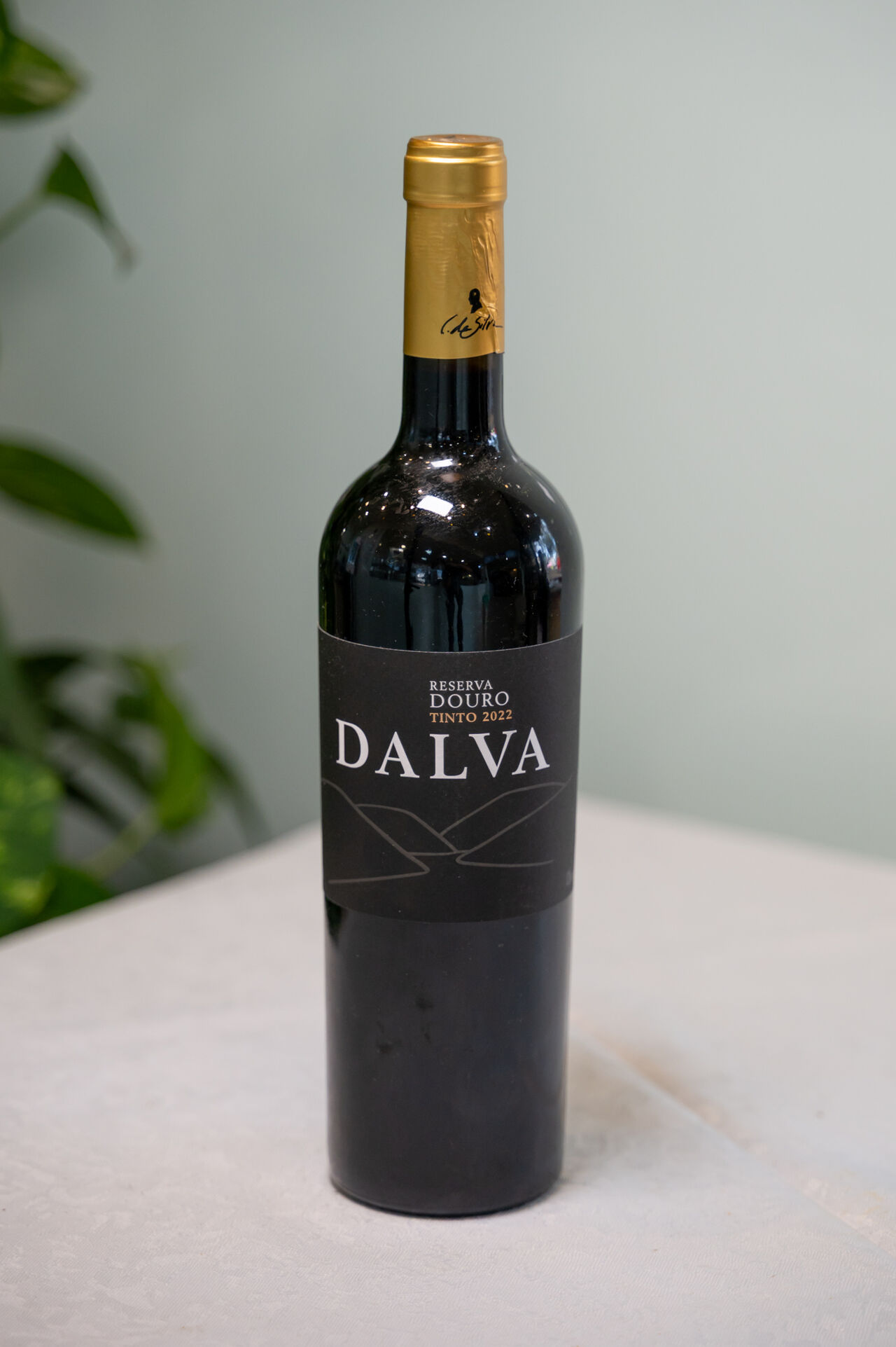 Vinhos que elevam a mesa