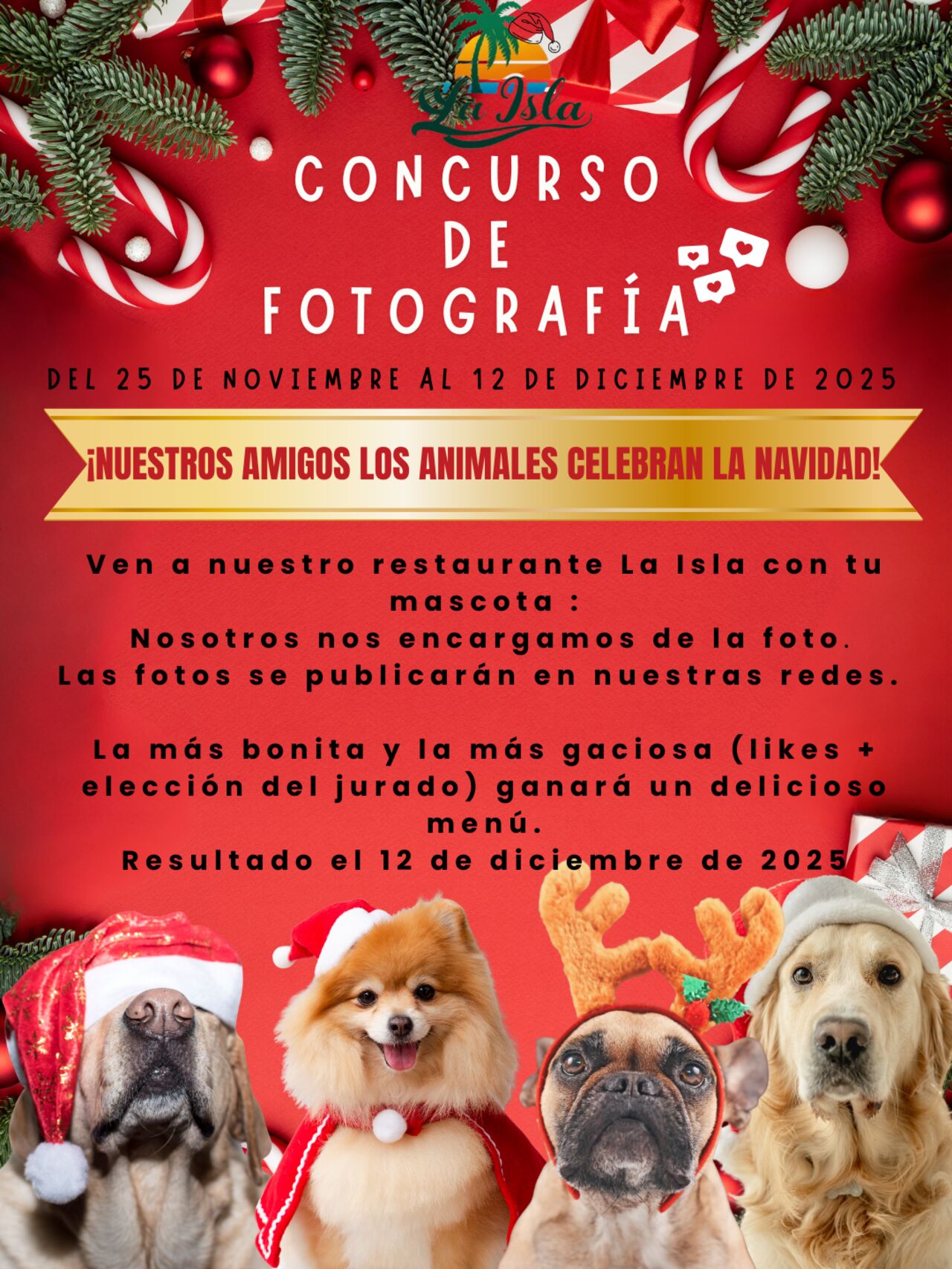 Concurso de fotografia