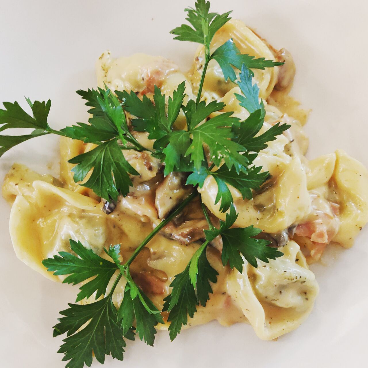 Tortellini crema funghi