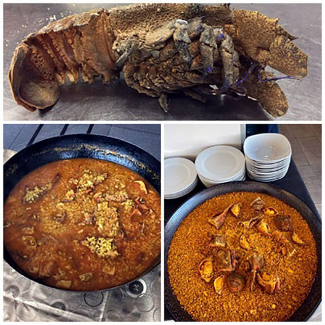 CASTAÑOLA O CIGALA REAL