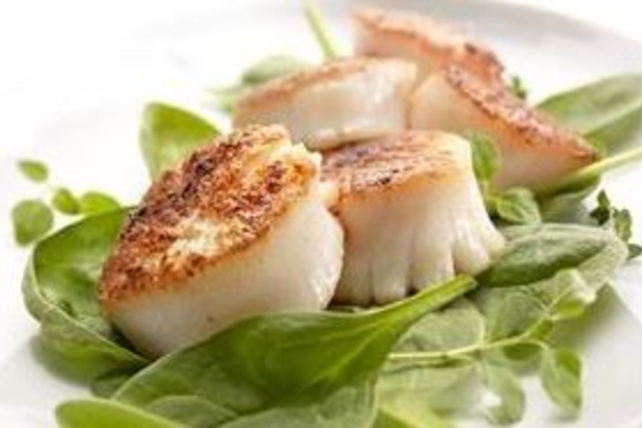 FOOD INSPIRATION