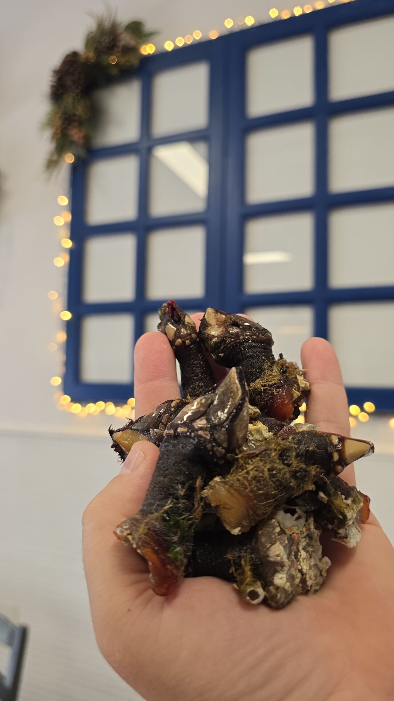 Una Navidad para comérsela