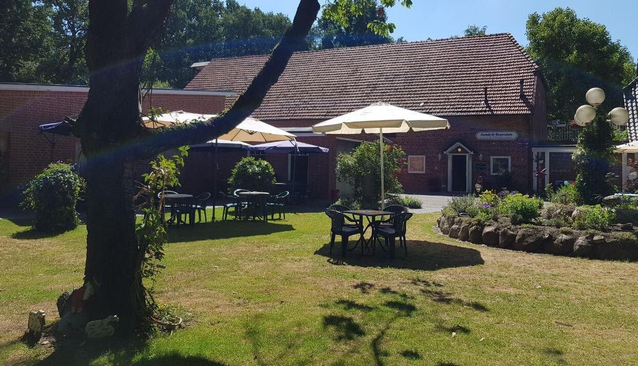 Blick durch den Garten zum Eingang