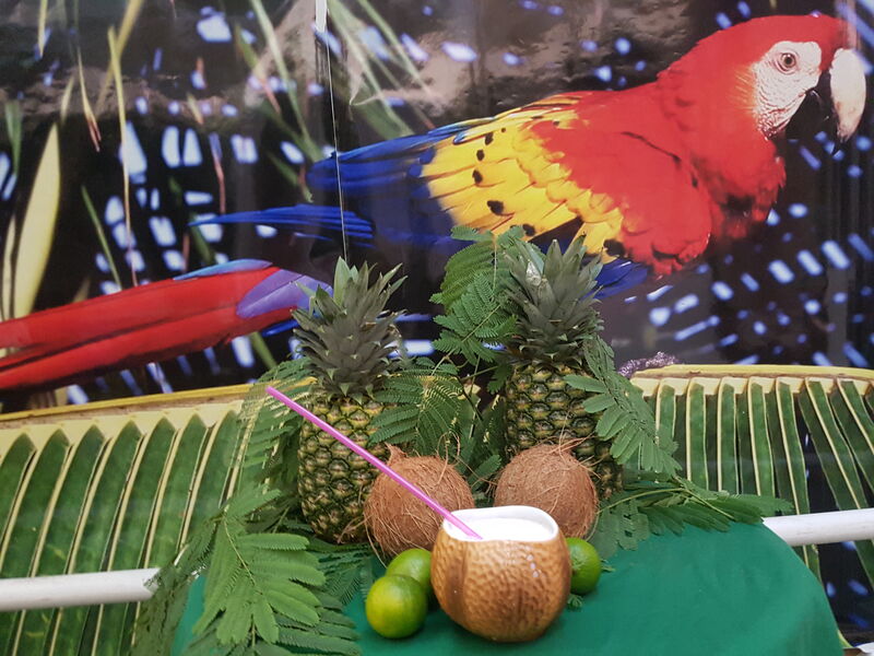 COCO LOCO: para 1 o 3 personas.
Ron blanco, vodka y tequila.