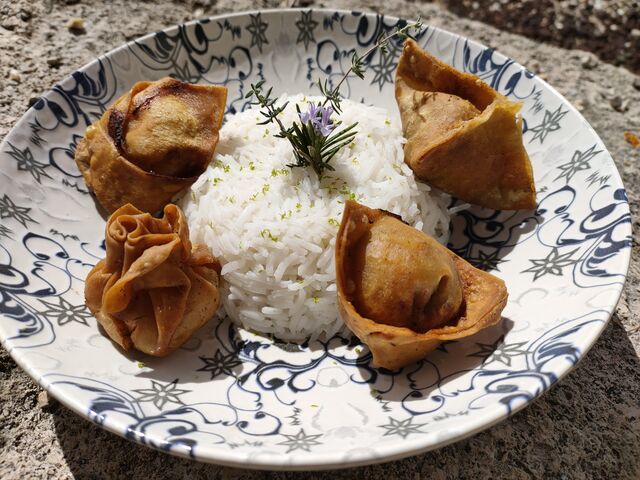 Nos 4 ravioles, de gauche à droite : poulet, crevettes, porc et végétarienne. Toutes différentes et toutes faites maison !