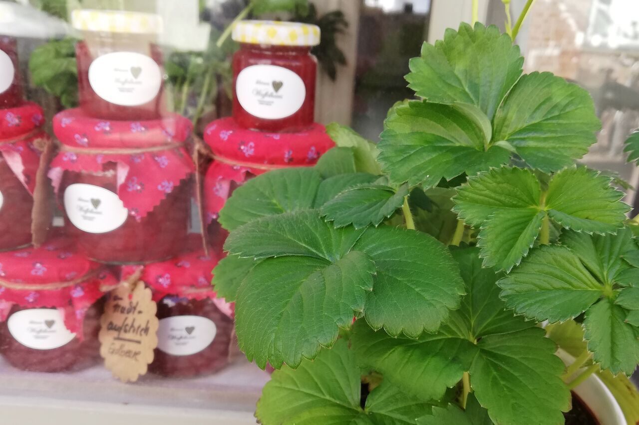 Fruchtaufstrich mit Lübecker Marzipan