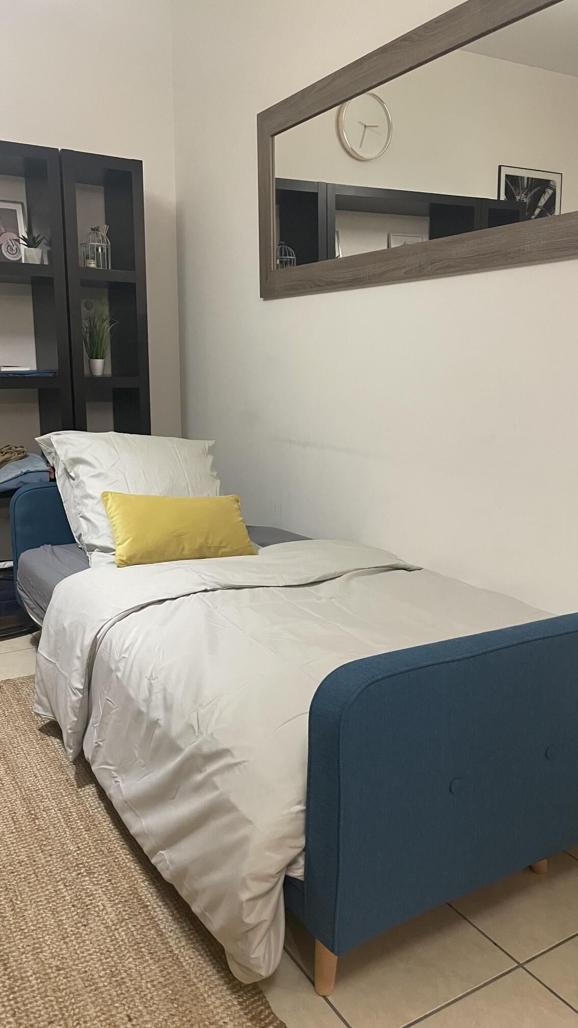 Le salon avec un canapé convertible