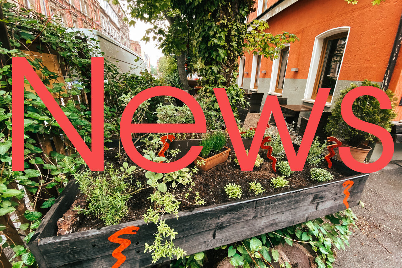 *News 2.0*