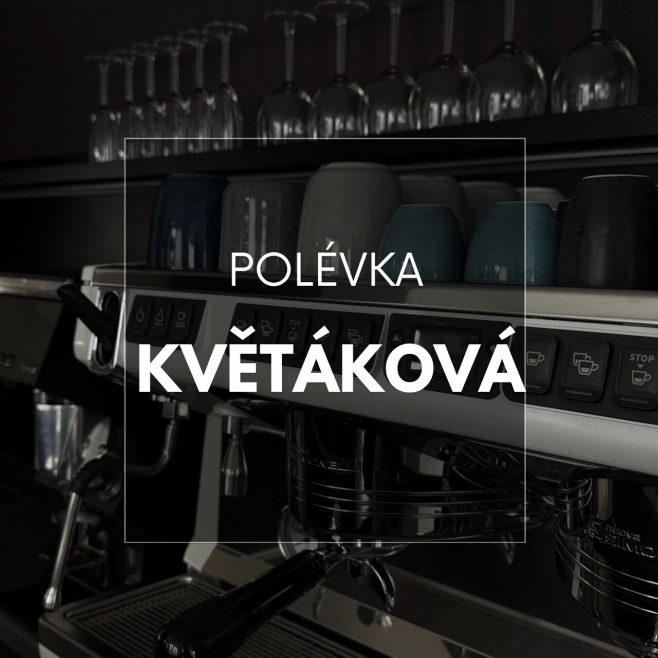 POLÉVKA TÝDNE