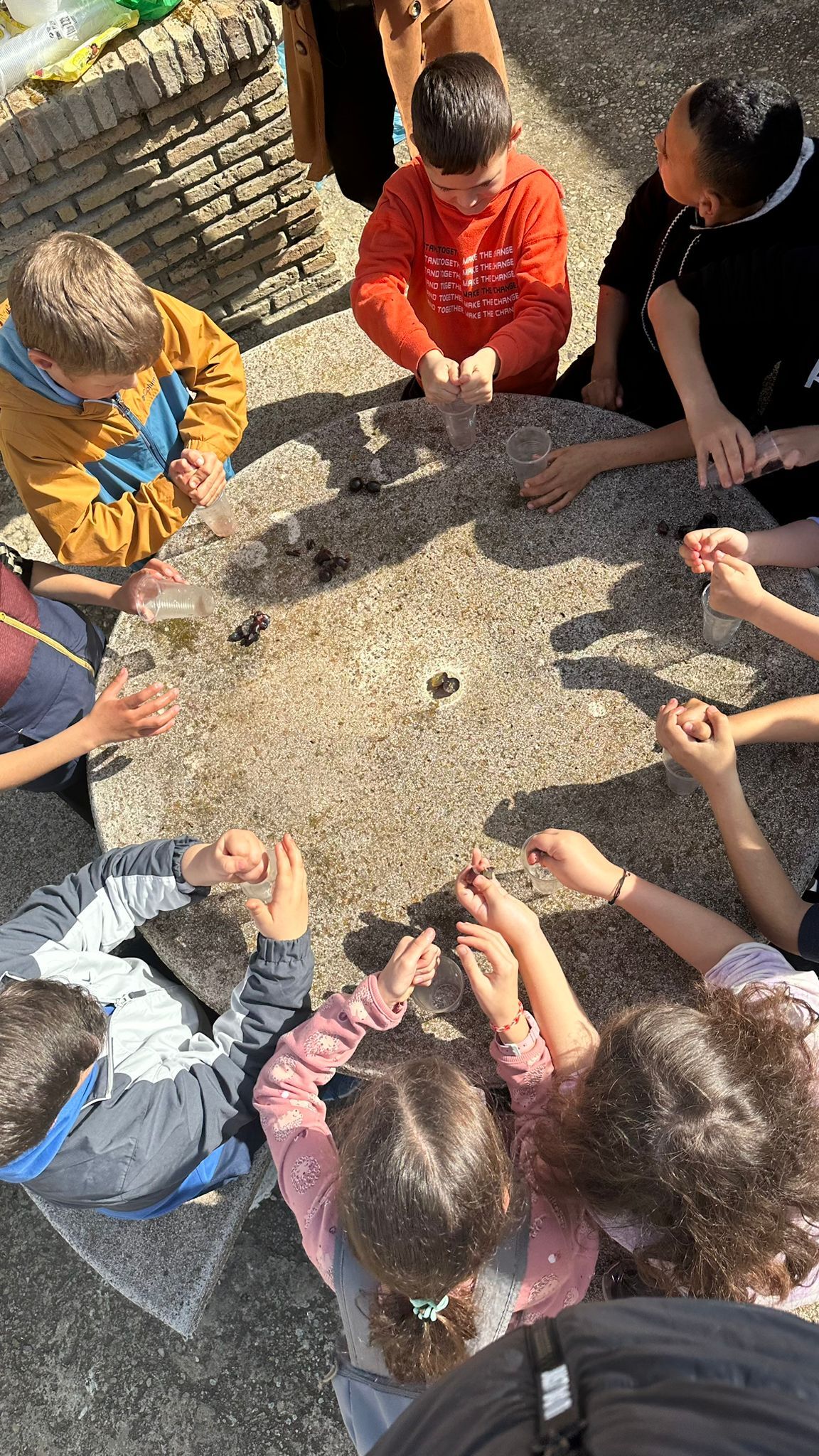 Talleres colegios en el viñedo