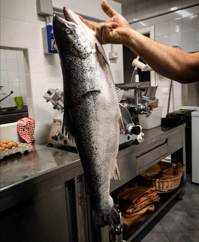Tutti i martedì e i venerdì pesce fresco