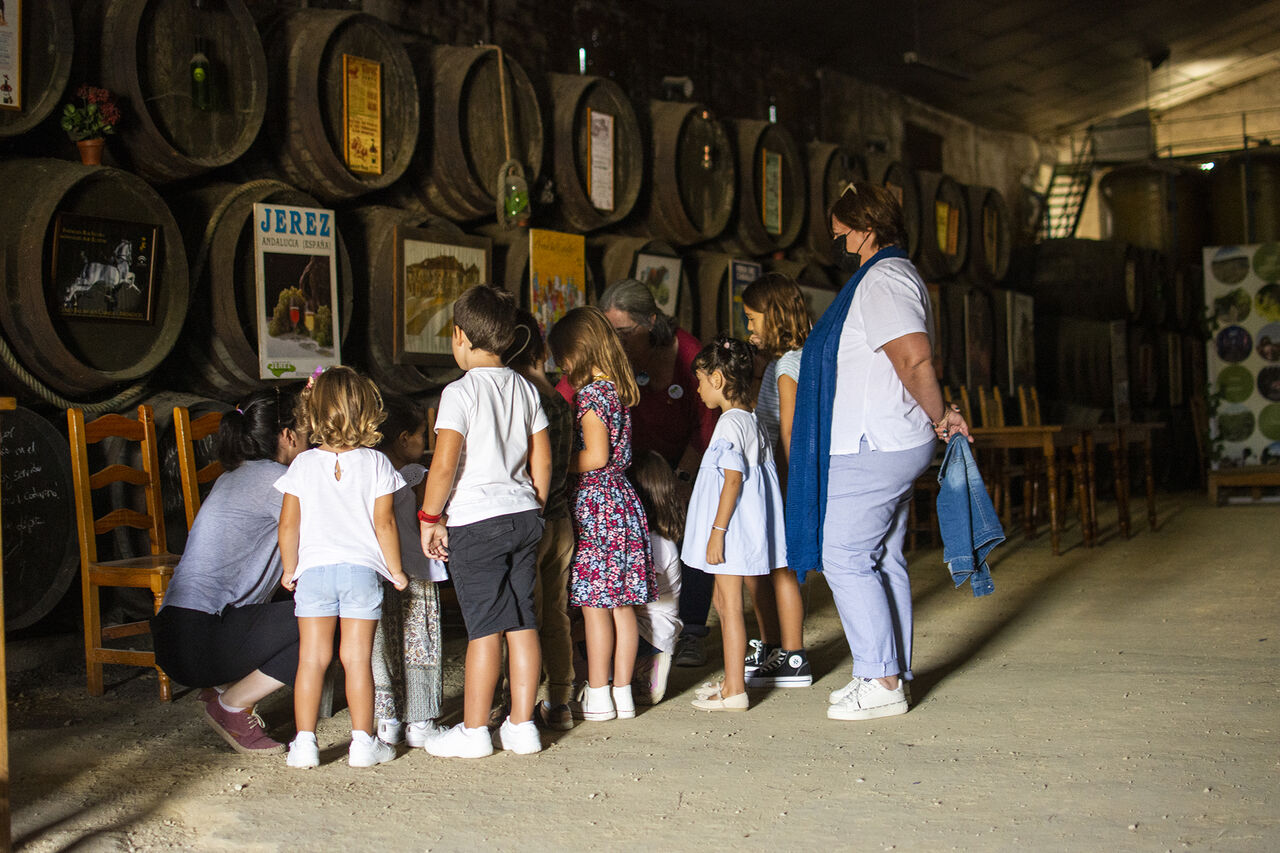 ¿Qué pretende el proyecto de Flor?