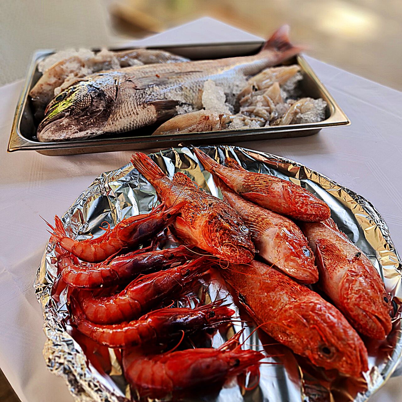 Escorpas, gamba roja de primera, sama y calamar de bahía... Producto fresco diario