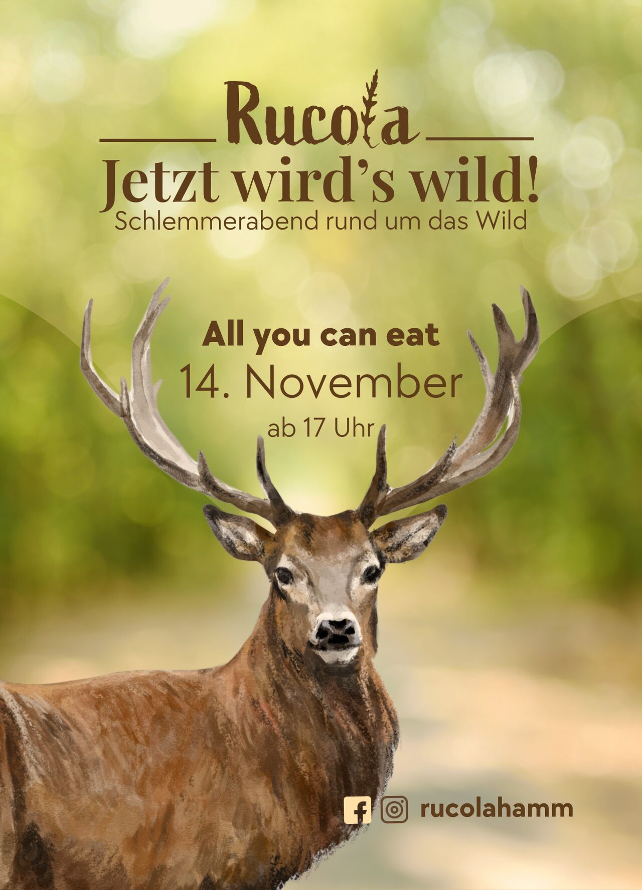 14.11. ab 17 Uhr - Jetzt wird's wild!