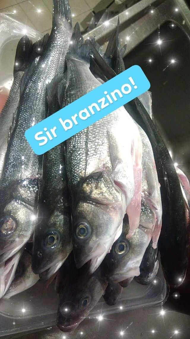 Branzini freschi
