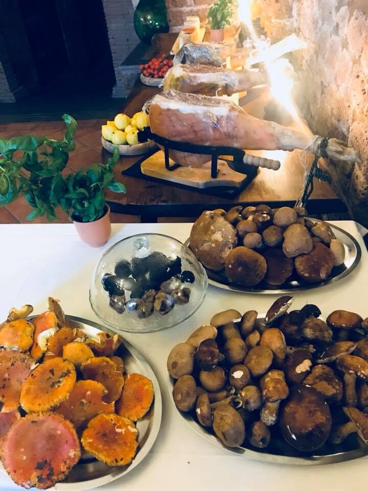 Esposizione prodotti funghi ovuli e porcini e tartufi freschi