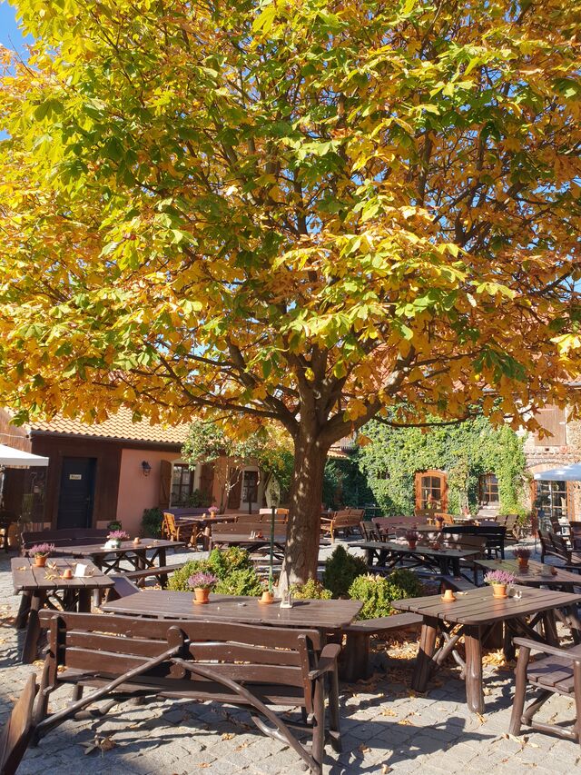 Außenbereich Herbst