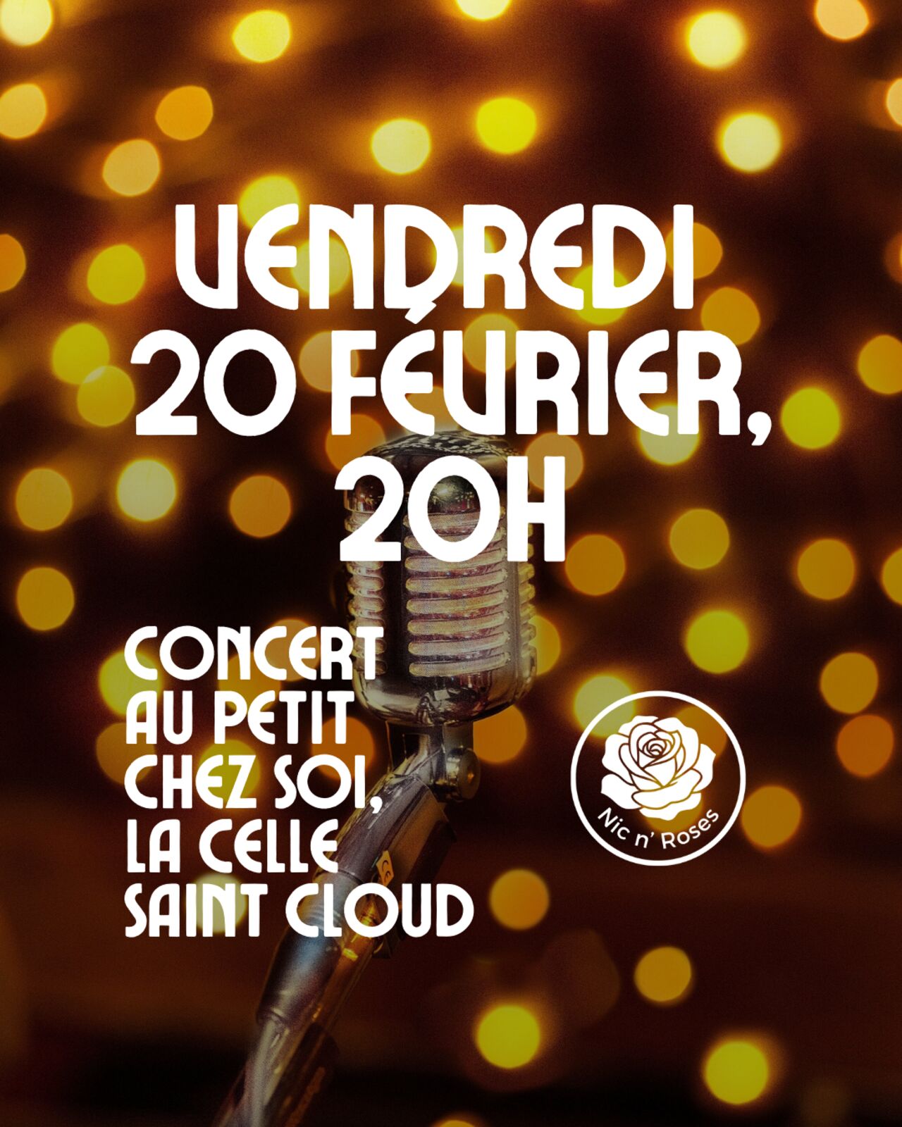 Soirée musicale vendredi 20 janvier