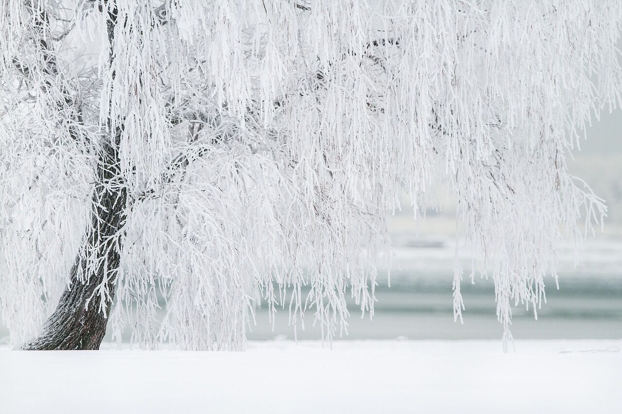 Januar - Februar