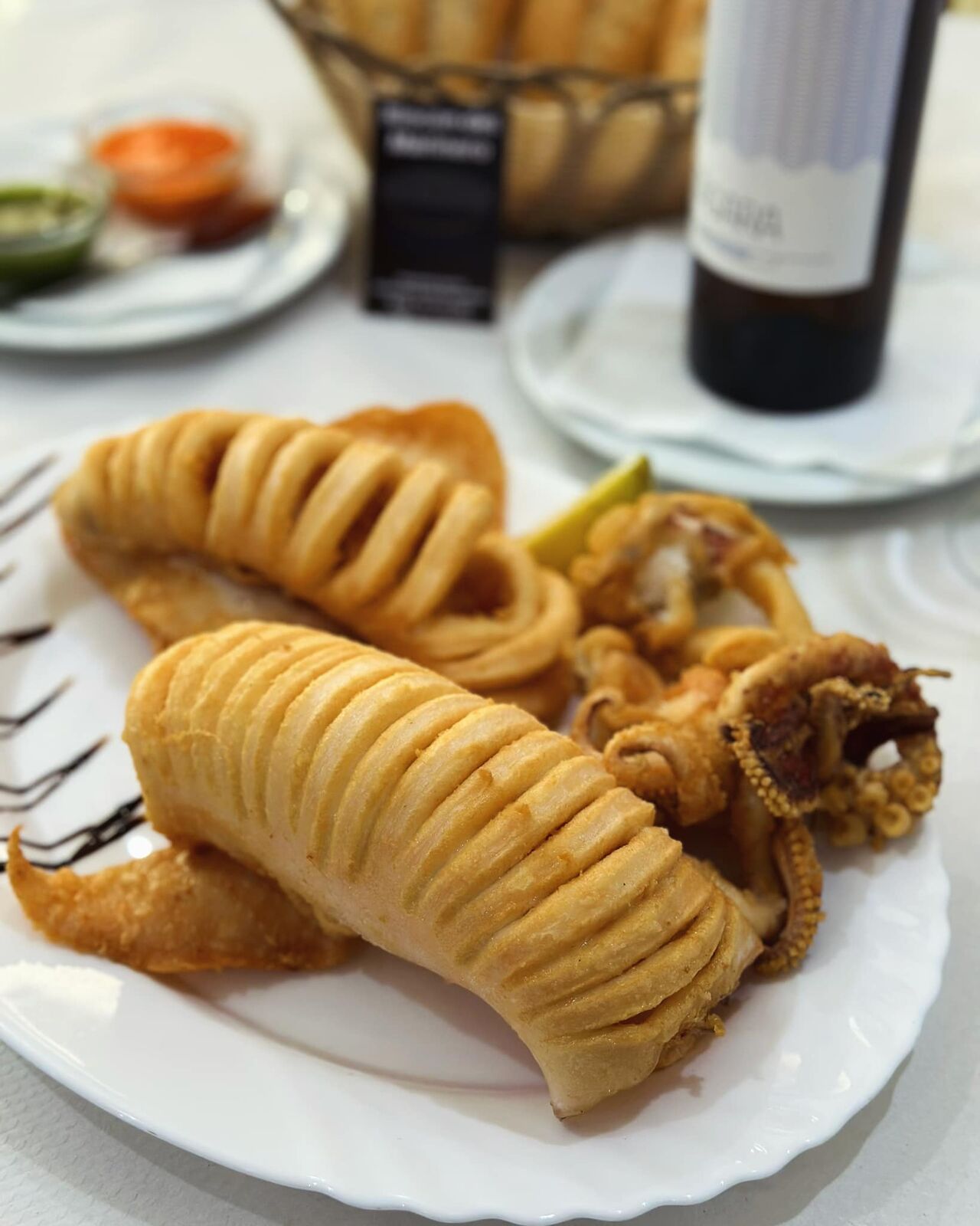 CALAMAR SAHARIANO 01