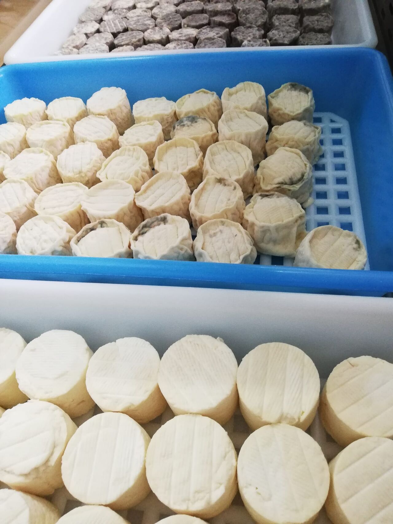 CROTTINS DE CHEVRE FRAIS, DEMI-SEC & SEC EN PLATEAU 