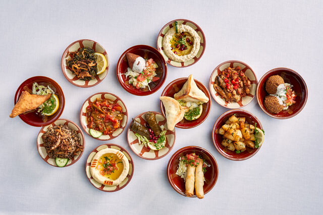 Menu degustazione – Meze calde e fredde