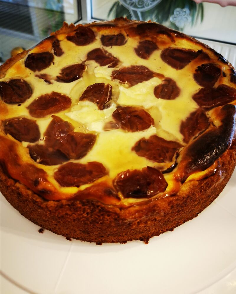 Pflaumen Käsekuchen 