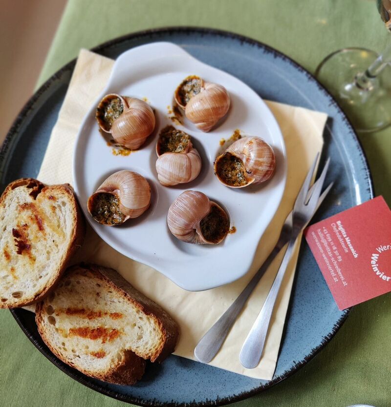 Wein4tler Weinbergschnecken ©Brigitta Mesenich
