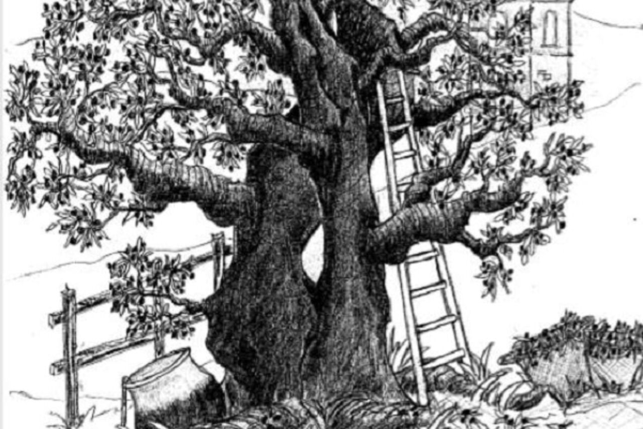 Le Moulin de Florette