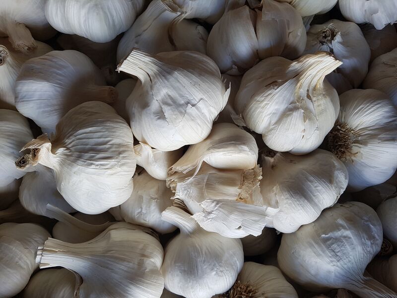 Ail blanc cat2 bio Espagne