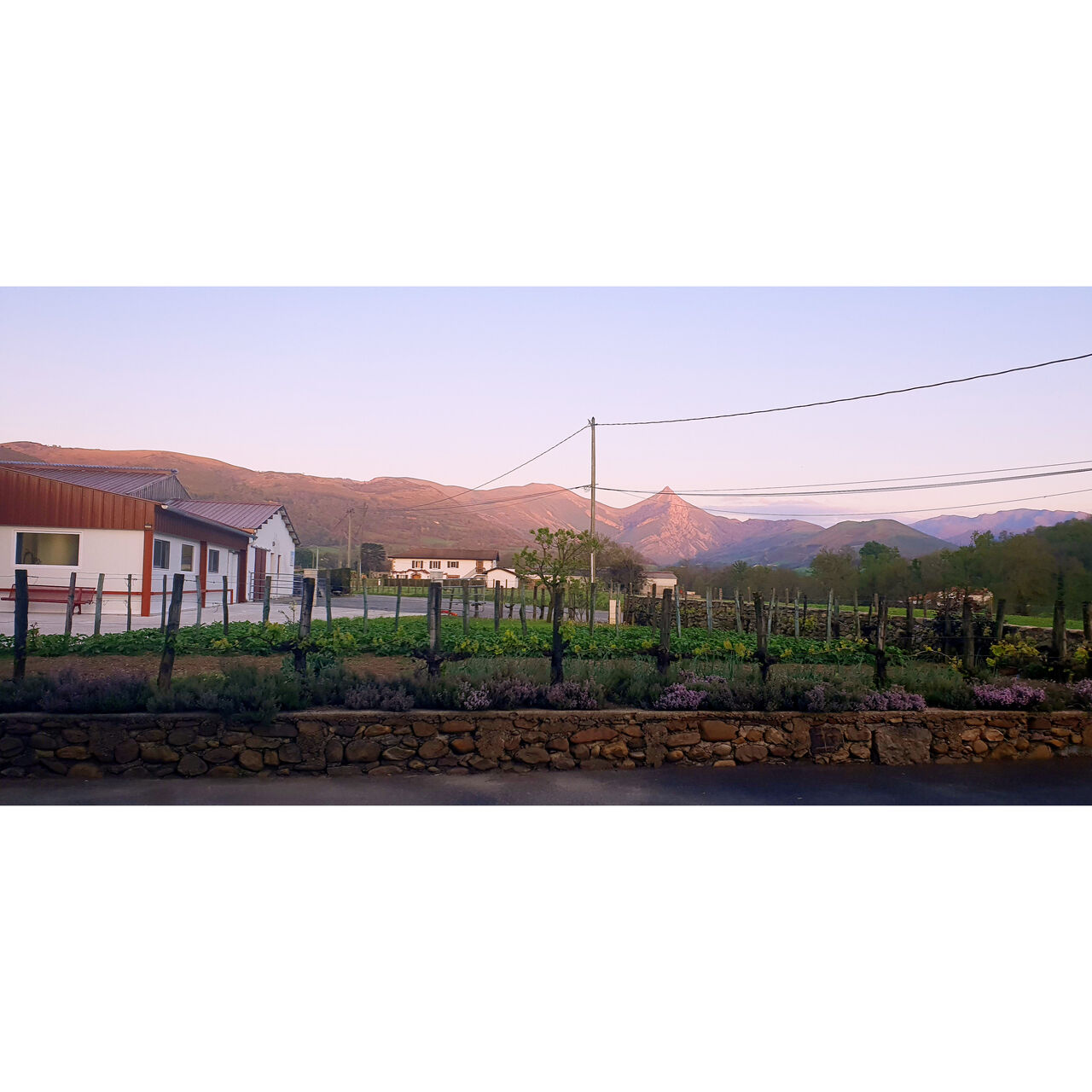 La fromagerie au pied du Pic de Béhorleguy