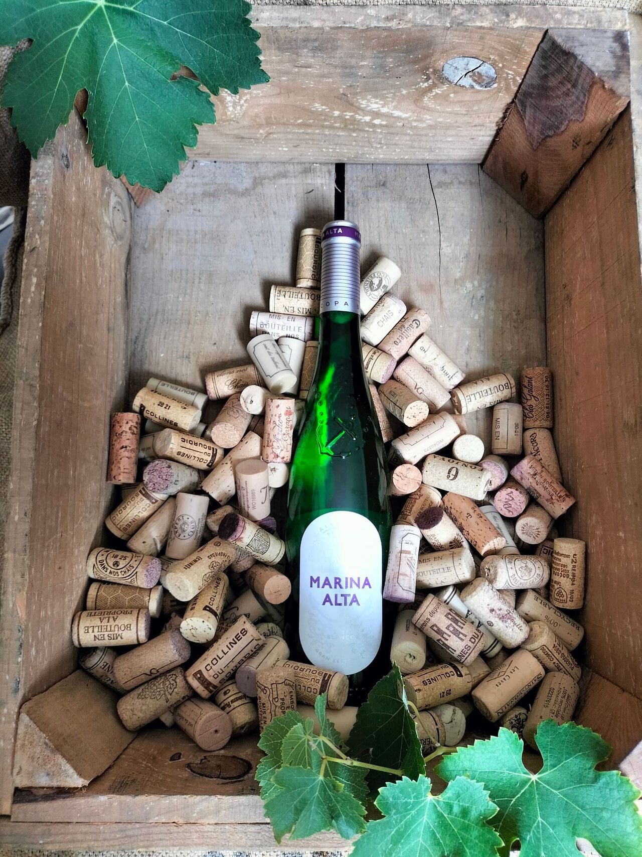 Le Marina Alta. Vin blanc espagnol. La vigne est cultivée au bord de la Méditerranée et se mariera parfaitement avec crustacés.