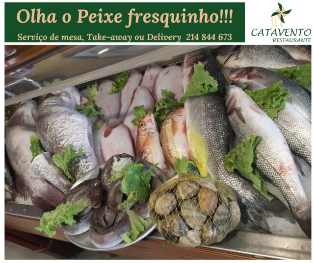 ????? fresquinho fresquinho ?????