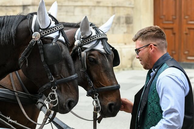 Fiakerunternehmen Rieger