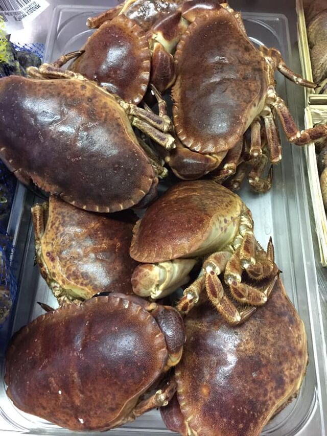 réception tourteaux frais