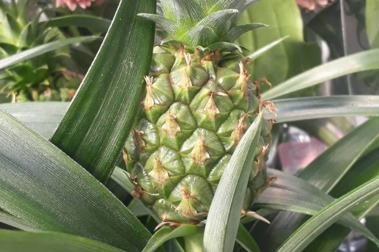 Da smo totalno drukčiji od drugih..