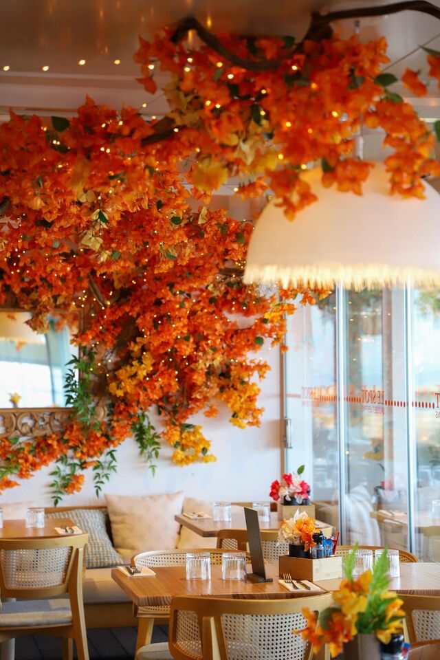 Nouvelle déco 2025, couleur !!!