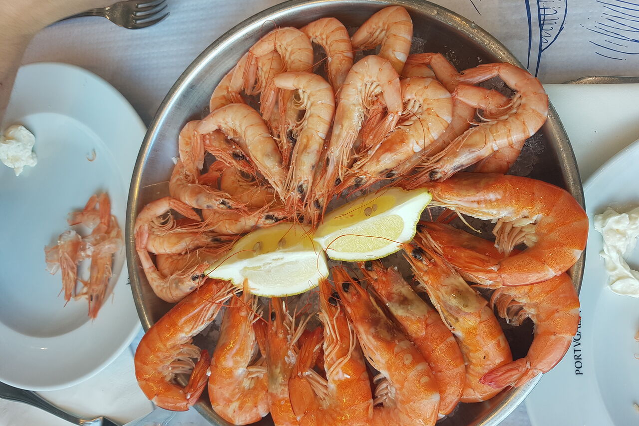 Venha experimentar ..