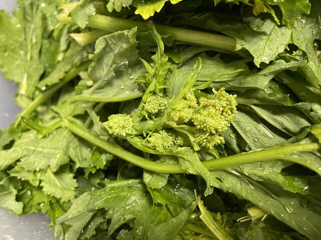 Cime di rapa, solo fresca di stagione