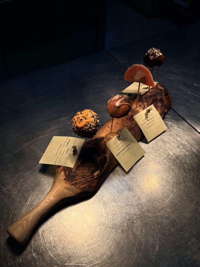 Stefan`s Wilde Reise