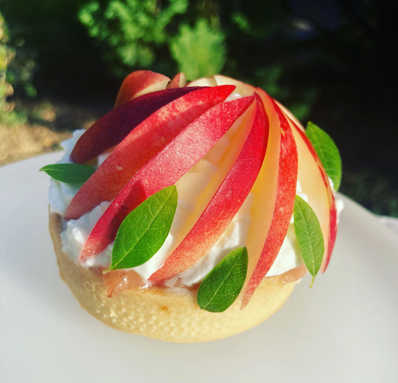 Tartelette pêche, chantilly coco, confit de pêche verveine