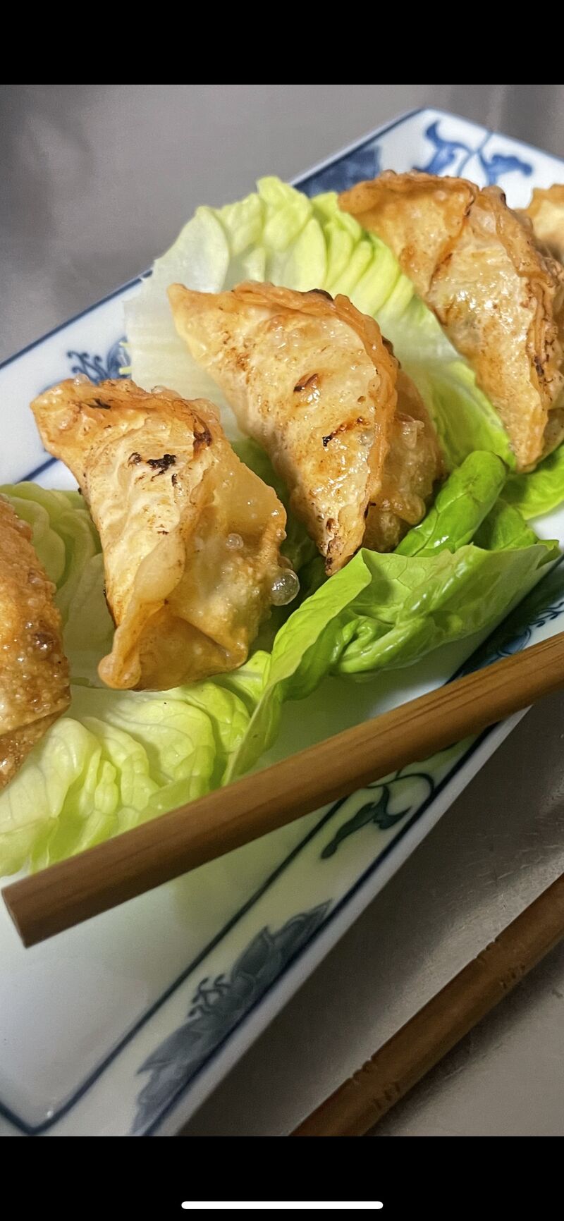 Gyoza 🥟 