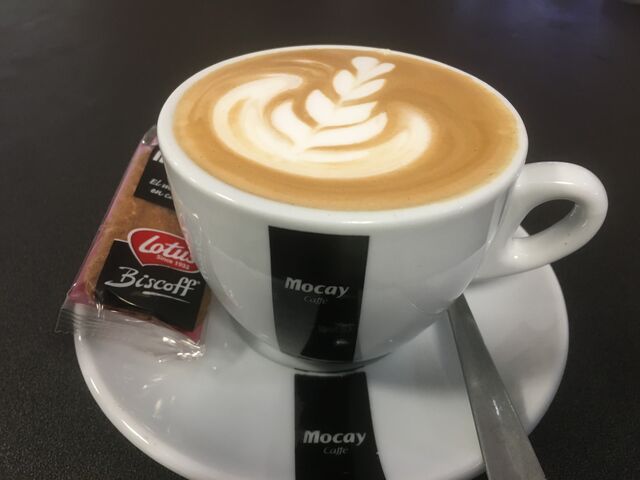 Disfruta del mejor café, categoría barista de Mocay. Los típicos barraquitos y zaperocos canarios, cafés internacionales y fríos