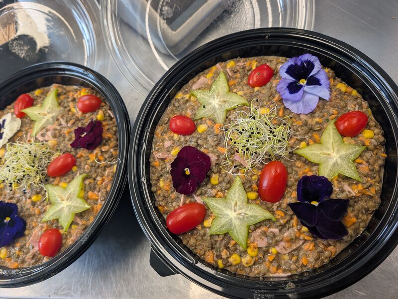 EXEMPLE DE REPAS FROID