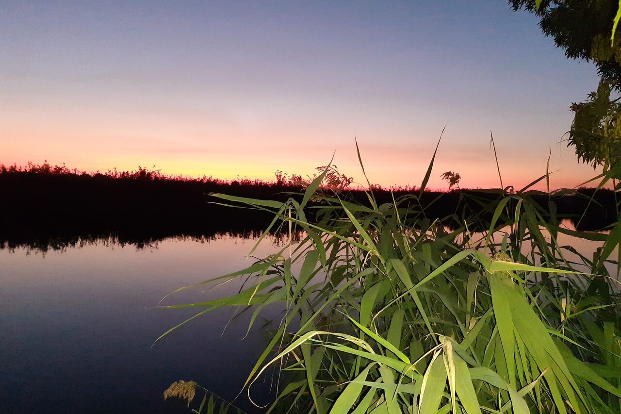 Még mindig a holtágról... :)