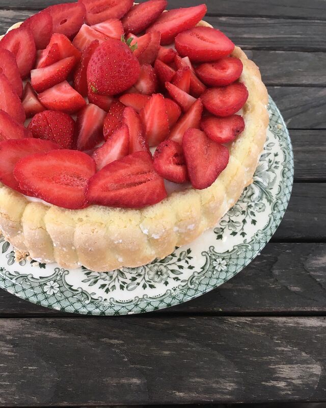 Charlotte aux fraises